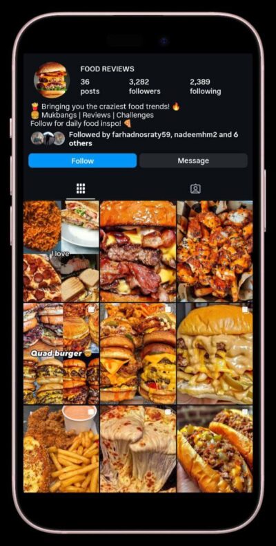 Buy 3k Followers Instagram Food Niche Account – OG Email Verified