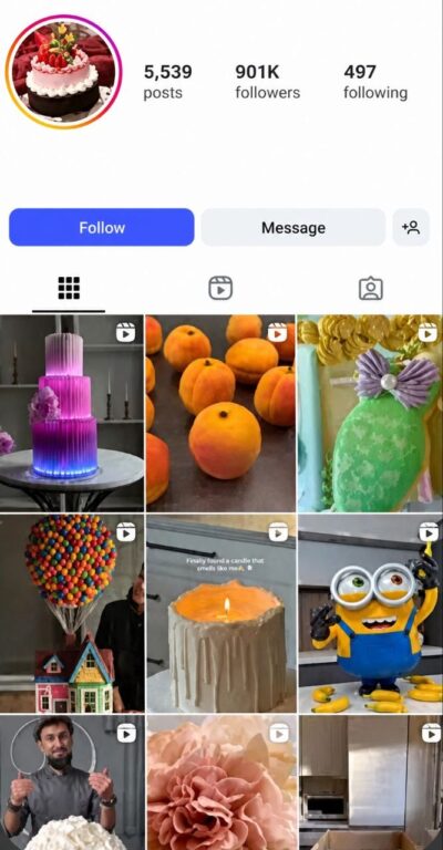 Instagram profile showing 901K followers, 539 posts, and 497 following – account for sale