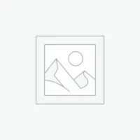Other TikTok Accounts